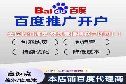 百度推广平台在电商行业的应用成功案例